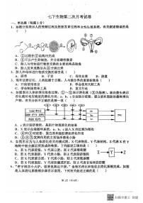 山东省聊城市阳谷县实验中学2023-2024学年七年级下学期6月月考生物试题