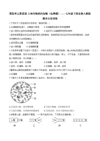 4.4人体内物质的运输——2023-2024学年七年级下册生物人教版期末分层训练（含解析）