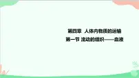 初中生物人教版 (新课标)七年级下册第一节 流动的组织──血液课堂教学课件ppt