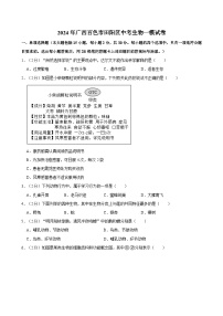 2024年广西百色市田阳区中考生物一模试卷