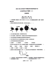 [生物]辽宁省沈阳市虹桥初级中学2023～2024学年七年级下学期6月考生物试题（有答案）(2)