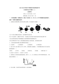 [生物]辽宁省沈阳市虹桥初级中学2023～2024学年七年级下学期6月考生物试题（有答案）