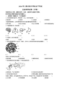 2024年上海市中考生物试题(无答案)