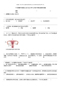 [生物]广东省肇庆市高要区2023-2024学年七年级下学期生物期中试题