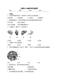 上海市2024届中考生物试卷(含答案)