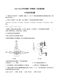 山东省济宁市兖州区2023--2024学年七年级下学期第二次月考生物试题