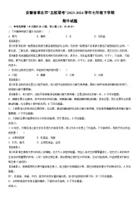 [生物]安徽省淮北市“五校联考”2023-2024学年七年级下学期期中试题（解析版）