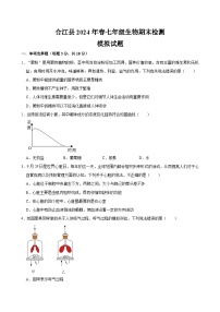 四川省泸州市合江县2023-2024学年七年级下学期期末模拟考试生物试题