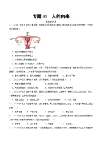 专题01 人的由来（期末专题练）（原卷版＋解析版）2023—2024学年人教版生物七年级下册