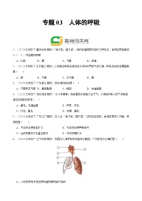 专题03  人体的呼吸（期末专题练）（原卷版+解析版）2023—2024学年人教版生物七年级下册