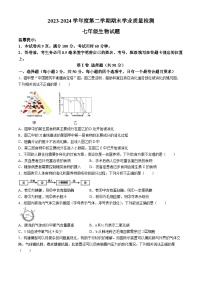 广东省揭阳市榕城区2023--2024学年七年级下学期期末生物试题