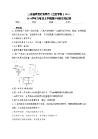 山东省泰安市新泰市（五四学制）2023-2024学年八年级上学期期末检测生物试卷(含答案)