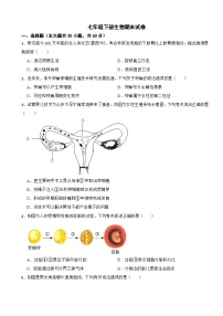 广东省深圳市龙华区2024年七年级下册生物期末试卷（附答案）