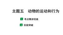 2024广西中考生物二轮中考考点研究 主题五 动物的运动和行为 （课件）