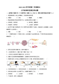 江苏省宿迁地区2022-2023学年七年级下学期期末生物试卷（含答案解析）