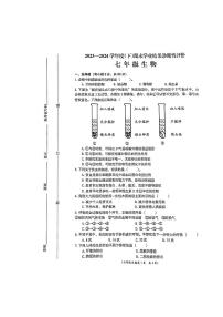 安徽省阜阳市界首市2023-2024学年七年级下学期6月期末生物试题