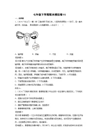 [生物]七年级下学期期末模拟卷01（广东专用）（解析版）