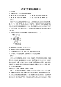 [生物]七年级下学期期末模拟卷02（广东专用）（解析版）