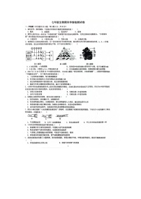 安徽省淮南市淮南实验中学2023-2024学年七年级下学期期末学情检测生物试卷