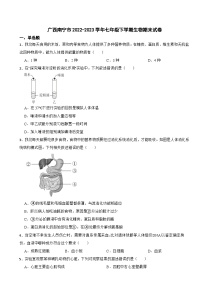 广西南宁市2024年七年级下学期生物期末试卷附答案