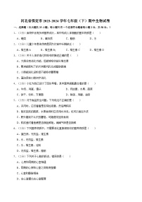 河北省保定市2023-2024学年七年级（下）期中生物试卷