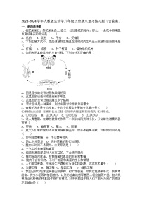 2023-2024学年人教版生物学八年级下册期末复习练习题（含答案）