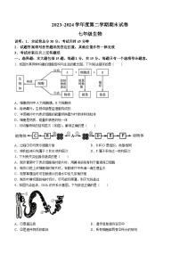 江苏省南通市海门区2023-2024学年七年级下学期6月期末生物试题