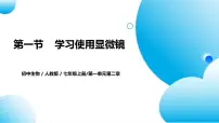 人教版（2024）七年级上册第一节 学习使用显微镜评优课教学ppt课件