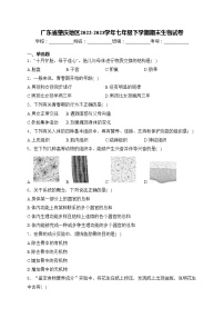 广东省肇庆地区2022-2023学年七年级下学期期末生物试卷(含答案)