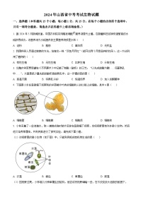 2024年山西省中考真题生物真题（原卷版+解析版）