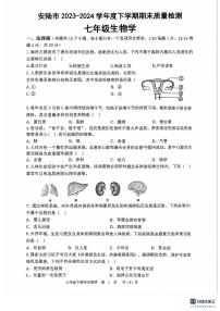 湖北省安陆市2023-2024学年七年级下学期期末质量检测生物试题