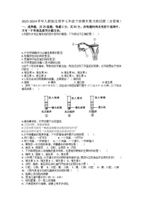 2023-2024学年人教版生物学七年级下册期末复习测试题（含答案）