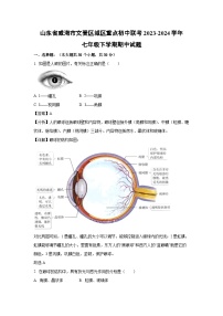 [生物]山东省威海市文登区城区重点初中联考2023-2024学年七年级下学期期中试题（解析版）