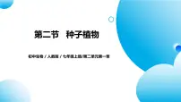 初中生物人教版(2024)七年级上册第二节 种子植物完整版教学课件ppt