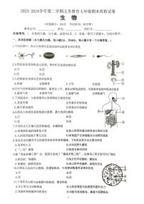 福建省厦门市2023-2024学年七年级下学期6月期末生物试题