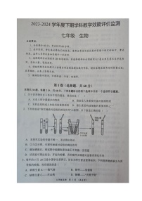 四川省成都市青白江区2023-2024学年七年级下学期期末考试生物试题