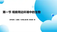 生物七年级上册第一单元 生物和细胞第一章 认识生物第一节 观察周边环境中的生物精品教学ppt课件