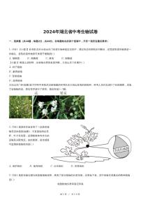 2024年湖北省中考生物试卷（含详细解析）