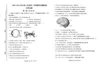 山东省济宁市北湖区2023-2024学年七年级下学期期末考试生物试题