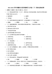 2023-2024学年安徽省合肥市瑶海区七年级（下）期末生物试卷