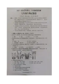 广东省揭阳市普宁市2023-2024学年七年级下学期7月期末生物试题