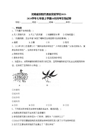 河南省安阳市滑县实验学校2023-2024学年七年级上学期10月月考生物试卷(含答案)