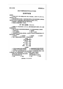 2024年陕西省中考真题 生物试题B卷