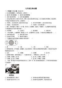 广东省惠州市惠阳区2023-2024学年七年级下学期期末考试生物试题(无答案)