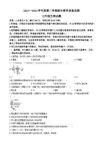 广东省阳江市阳东区2023-2024学年七年级下学期期末考试生物试卷(无答案)