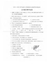 广东省江门市恩平市2023-2024学年七年级下学期期末检测生物试卷