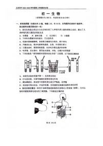 [生物][期末]2024北京四中初一下学期期末生物试卷