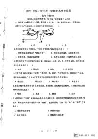 辽宁省沈阳市铁西区2023-2024学年七年级下学期期末考试生物试卷