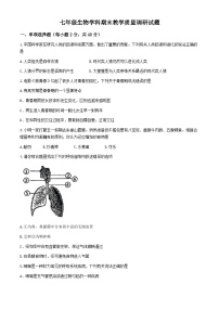 吉林省吉林市吉林市第七中学2023--2024学年七年级下学期期末考试生物试题(无答案)