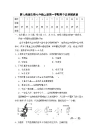 2024-2025学年人教版生物七年级上册期中达标测试卷